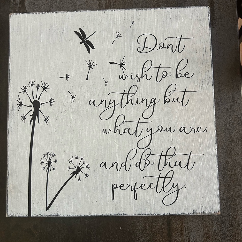 Handmade Dragonfly & Dandilion Inspirational Wall Decor 12”x12” Painted Printed
